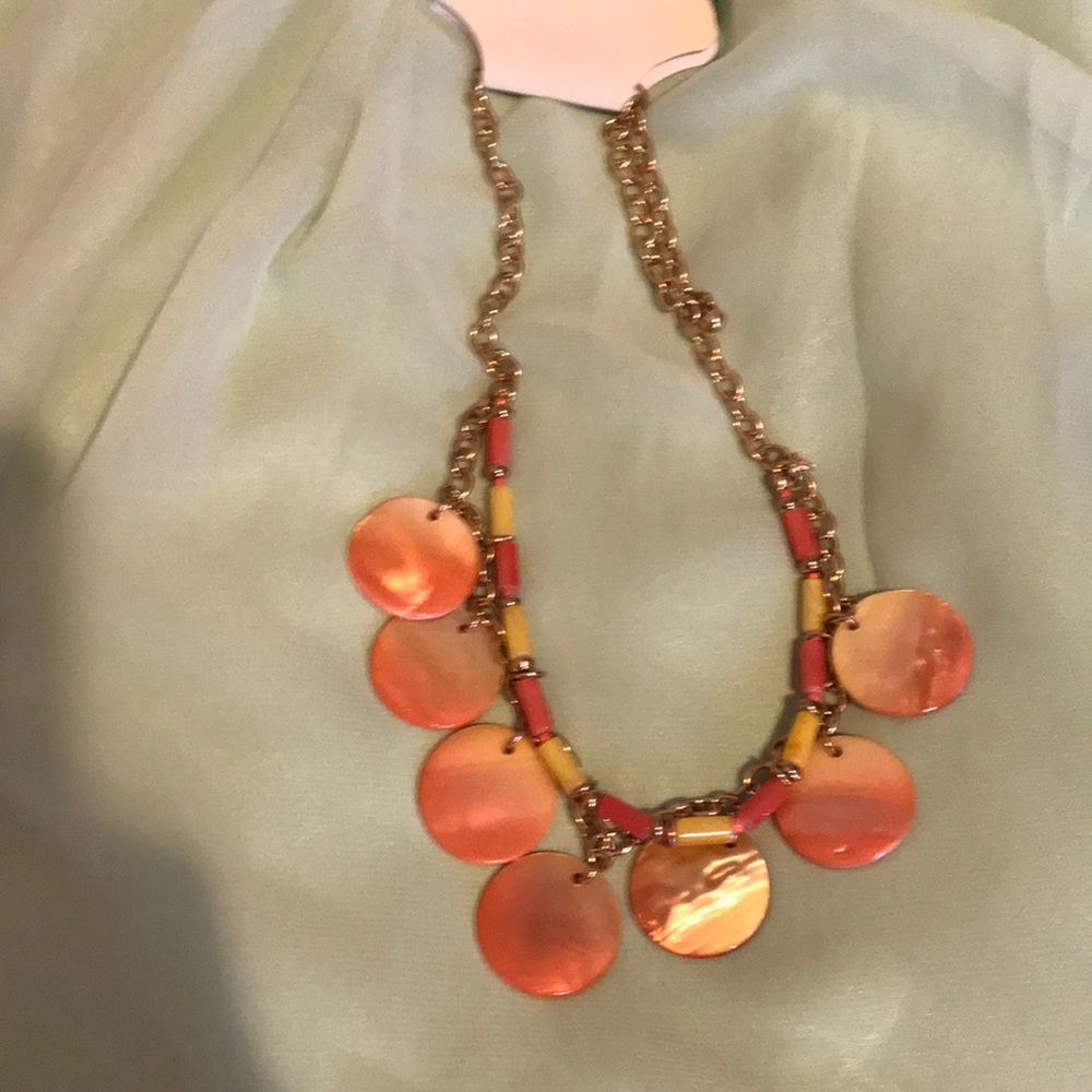 Carol apol Jewerly new on Card shell 🐚 necklace